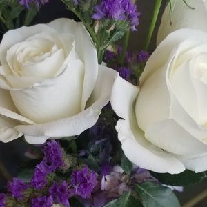 Make an offer, any offer!